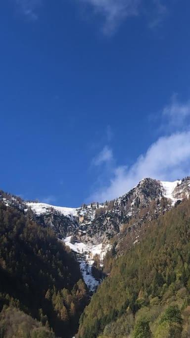 Il Sole Di Ester Branzi Buitenkant foto